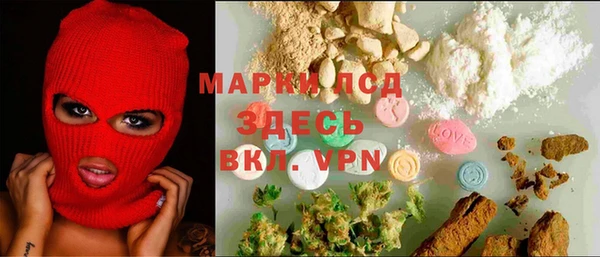 СК Новодвинск