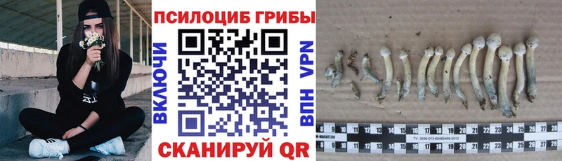 Псилоцибиновые грибы MAGIC MUSHROOMS  Новосиль 